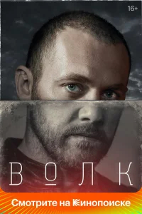 Волк бесплатно
